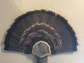 2018-fan-mount2