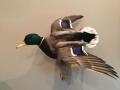 1_pritch-mallard-2018