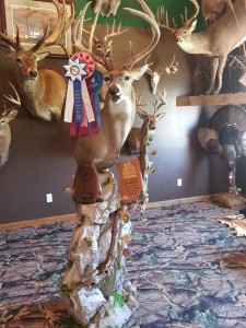 2016 show deer 1